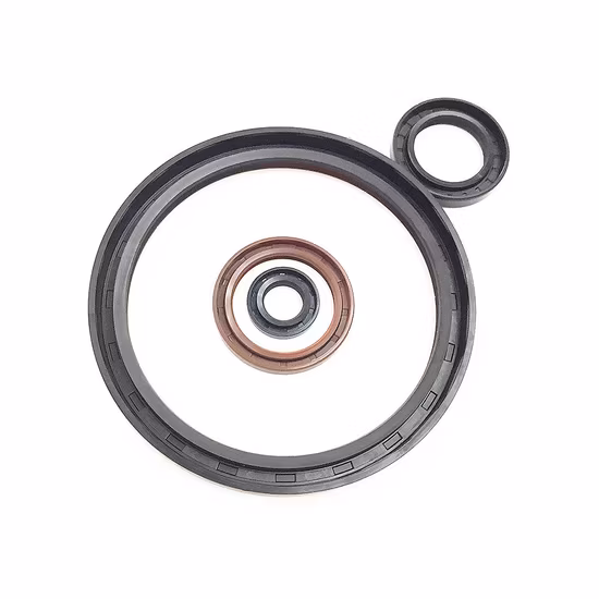 HNBR Windshield Rubber Solid Co-Extruded buna tc sc oil Seal